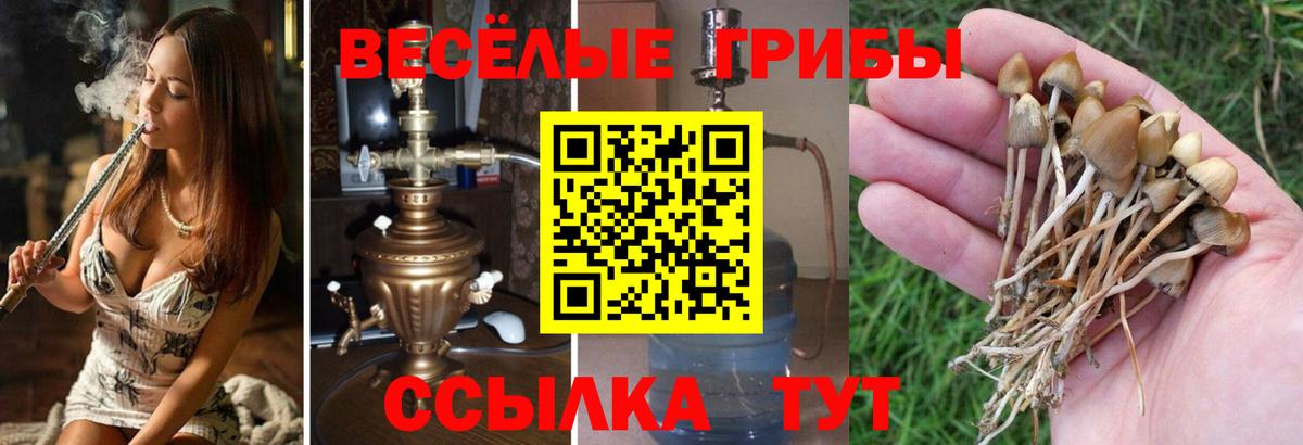 Донецк  Галлюциногенные грибы мухоморы  Вход с VPN  Галлюциногенные грибы Psilocybe 